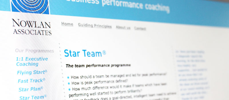 Page from SME Coaching website