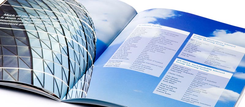 Annual report for investment company